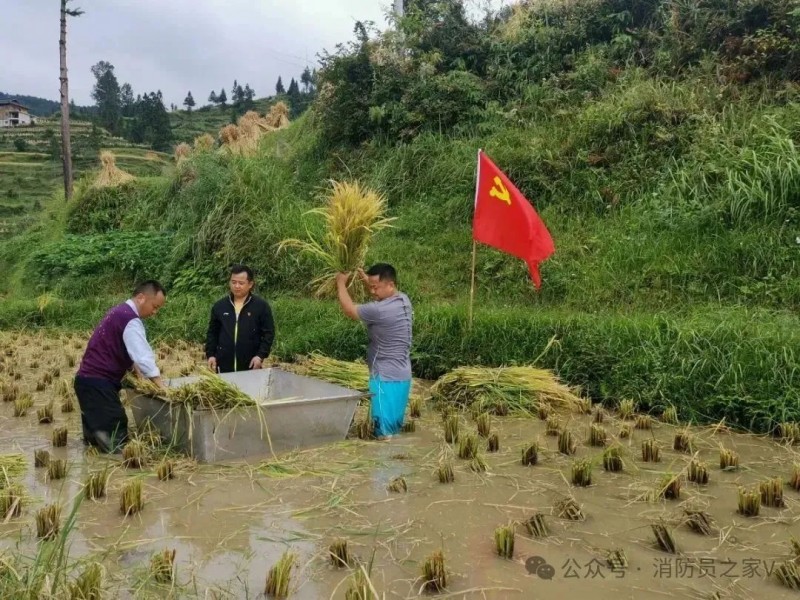 微信图片_20250620083818